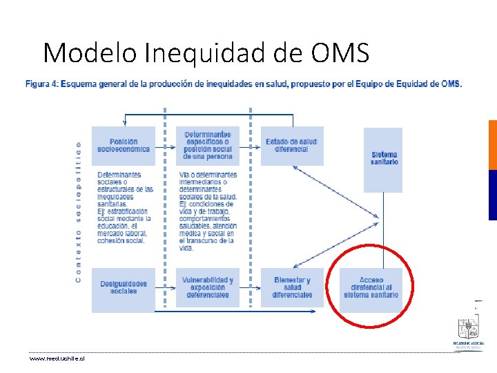 Modelo Inequidad de OMS www. med. uchile. cl Modelo Inequidad de OMS www. med. uchile. cl
