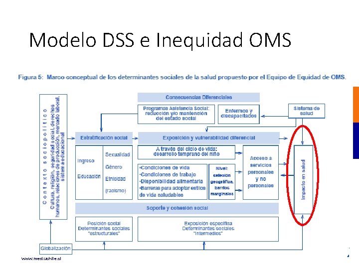 Modelo DSS e Inequidad OMS www. med. uchile. cl Modelo DSS e Inequidad OMS www. med. uchile. cl