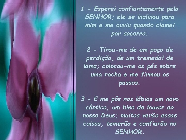 1 - Esperei confiantemente pelo SENHOR; ele se inclinou para mim e me ouviu