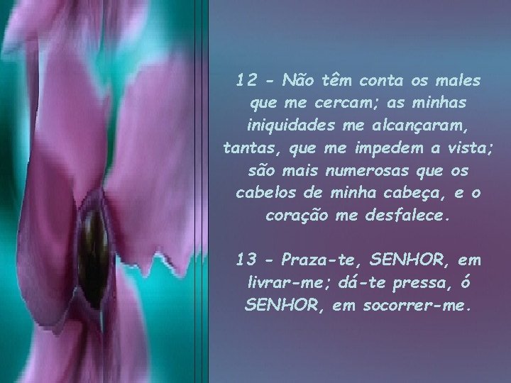 12 - Não têm conta os males que me cercam; as minhas iniquidades me