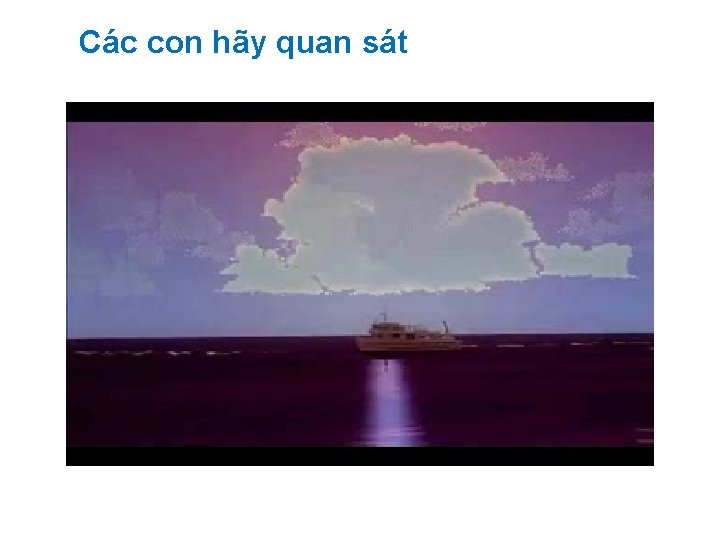 Các con hãy quan sát 