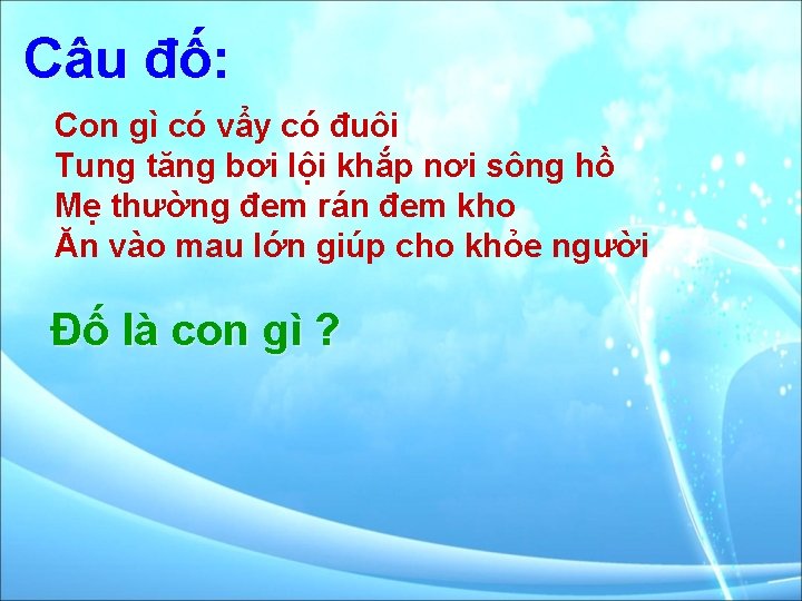 Câu đố: Con gì có vẩy có đuôi Tung tăng bơi lội khắp nơi