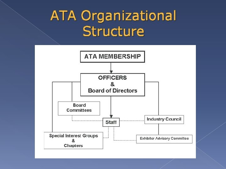 ATA Organizational Structure 