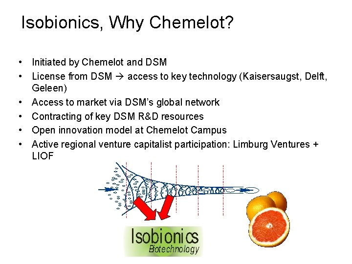 Isobionics, Why Chemelot? • Initiated by Chemelot and DSM • License from DSM access