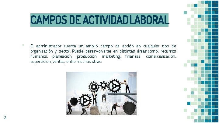 CAMPOS DE ACTIVIDAD PROFESIONAL PARA EL LICENCIADO EN