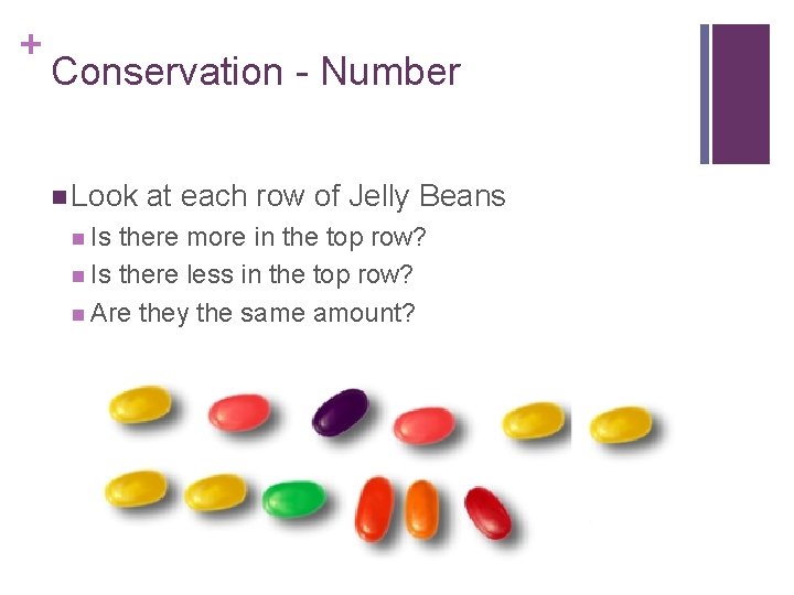 + Conservation - Number n Look n Is at each row of Jelly Beans
