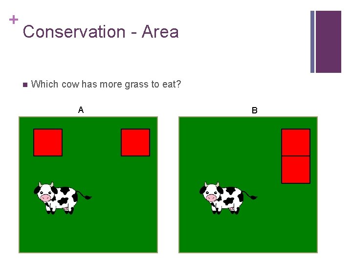 + Conservation - Area n Which cow has more grass to eat? A B