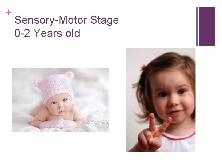 + Sensory-Motor Stage 0 -2 Years old 