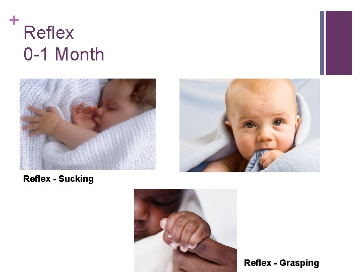 + Reflex 0 -1 Month Reflex - Sucking Reflex - Grasping 