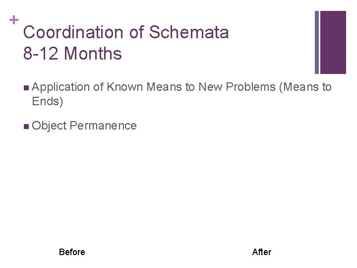 + Coordination of Schemata 8 -12 Months n Application of Known Means to New