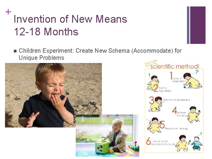 + Invention of New Means 12 -18 Months n Children Experiment: Create New Schema