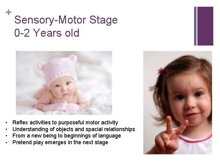 + • • Sensory-Motor Stage 0 -2 Years old Reflex activities to purposeful motor