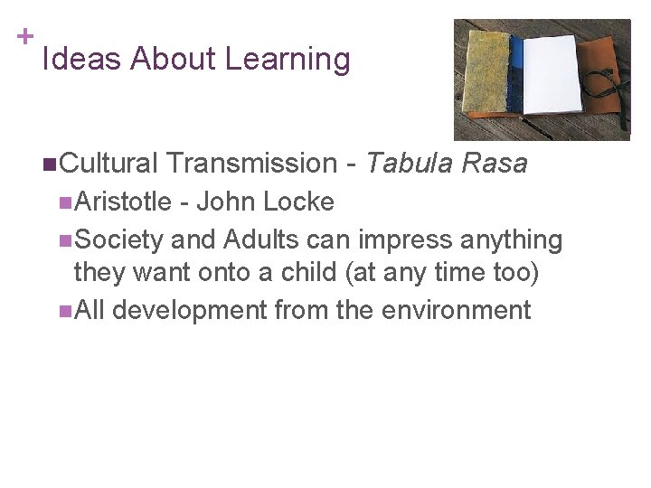 + Ideas About Learning n. Cultural Transmission - Tabula Rasa n Aristotle - John