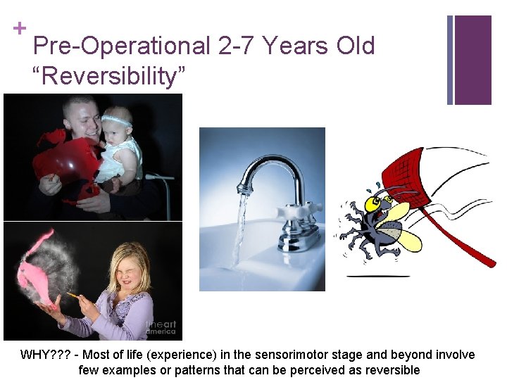 + Pre-Operational 2 -7 Years Old “Reversibility” WHY? ? ? - Most of life