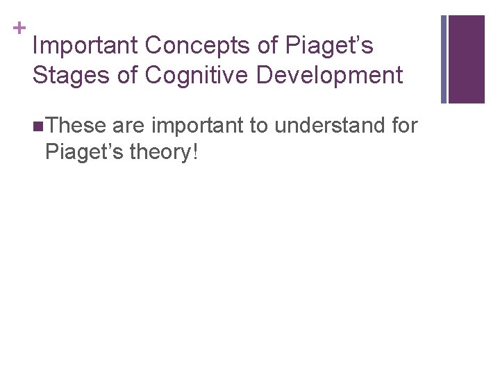 + Important Concepts of Piaget’s Stages of Cognitive Development n. These are important to