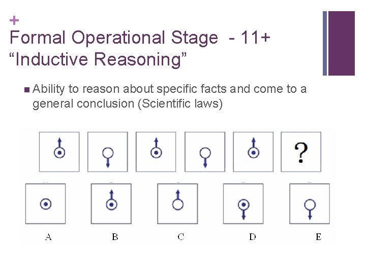 + Formal Operational Stage - 11+ “Inductive Reasoning” n Ability to reason about specific
