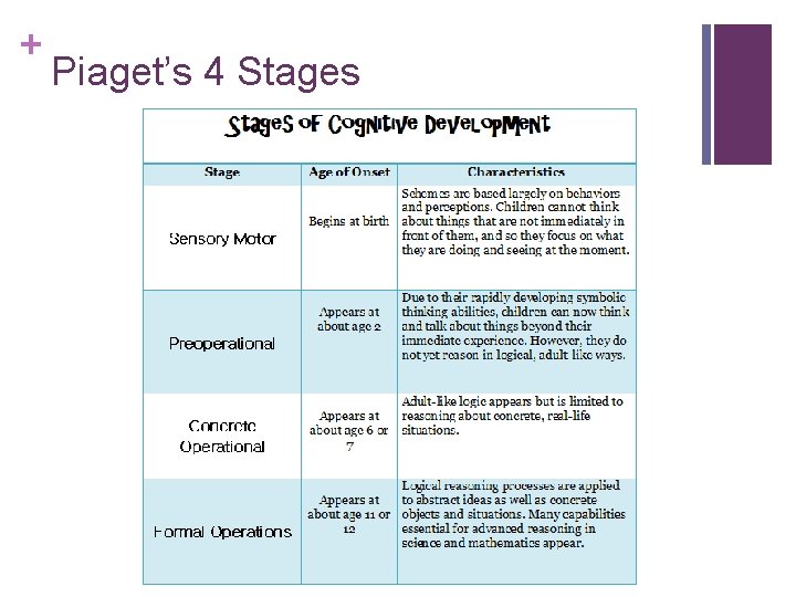 + Piaget’s 4 Stages 