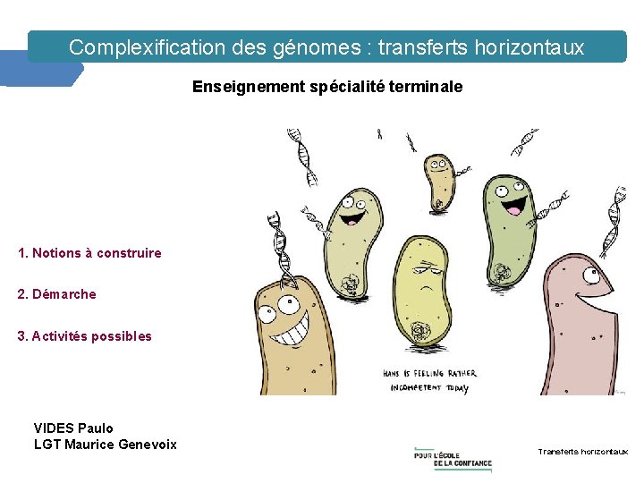 Complexification des génomes : transferts horizontaux Enseignement spécialité terminale 1. Notions à construire 2.