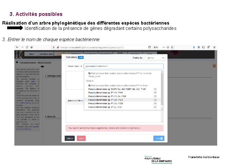 3. Activités possibles Réalisation d’un arbre phylogénétique des différentes espèces bactériennes Identification de la