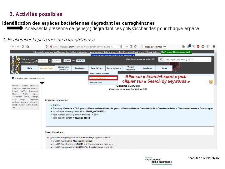 3. Activités possibles Identification des espèces bactériennes dégradant les carraghénanes Analyser la présence de