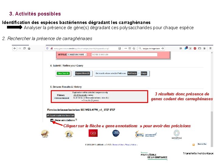 3. Activités possibles Identification des espèces bactériennes dégradant les carraghénanes Analyser la présence de