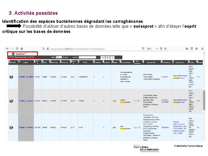 3. Activités possibles Identification des espèces bactériennes dégradant les carraghénanes Possibilité d’utiliser d’autres bases