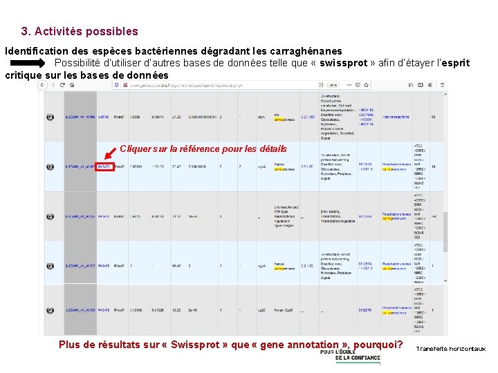 3. Activités possibles Identification des espèces bactériennes dégradant les carraghénanes Possibilité d’utiliser d’autres bases