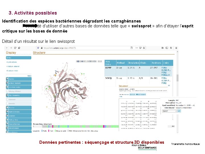 3. Activités possibles Identification des espèces bactériennes dégradant les carraghénanes Possibilité d’utiliser d’autres bases