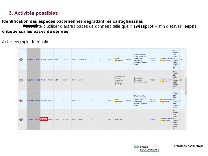 3. Activités possibles Identification des espèces bactériennes dégradant les carraghénanes Possibilité d’utiliser d’autres bases