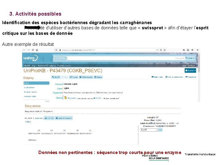 3. Activités possibles Identification des espèces bactériennes dégradant les carraghénanes Possibilité d’utiliser d’autres bases