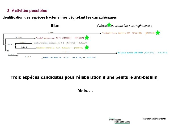 3. Activités possibles Identification des espèces bactériennes dégradant les carraghénanes Bilan Présence du caractère