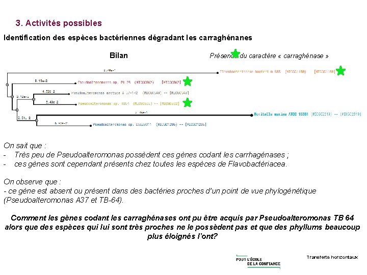 3. Activités possibles Identification des espèces bactériennes dégradant les carraghénanes Bilan Présence du caractère