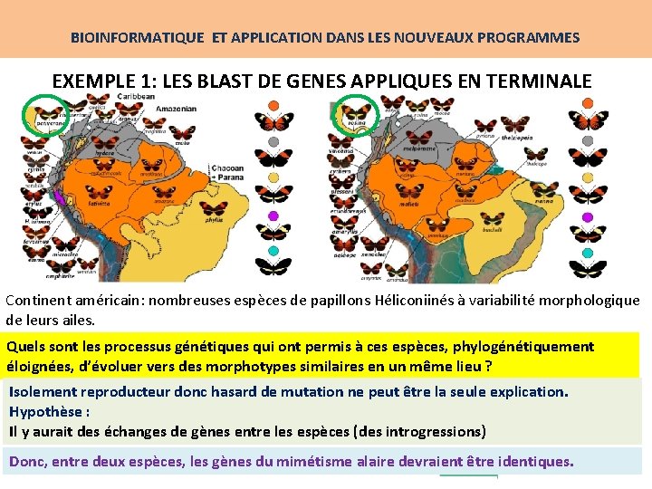 BIOINFORMATIQUE ET APPLICATION DANS LES NOUVEAUX PROGRAMMES EXEMPLE 1: LES BLAST DE GENES APPLIQUES