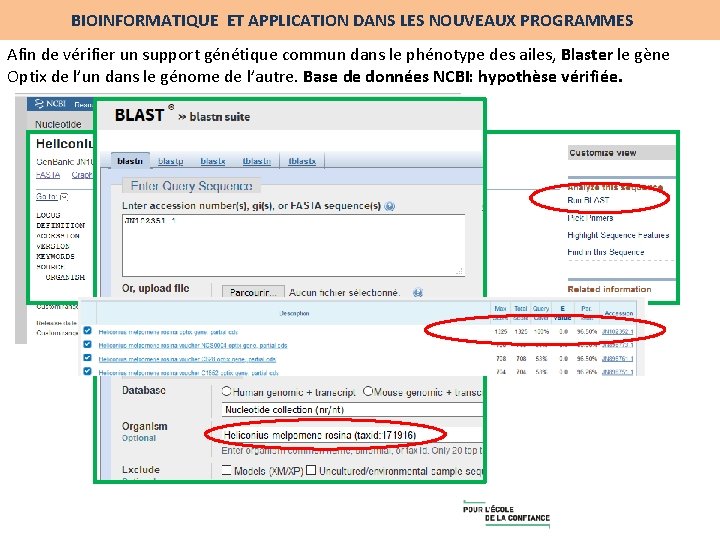 BIOINFORMATIQUE ET APPLICATION DANS LES NOUVEAUX PROGRAMMES Afin de vérifier un support génétique commun