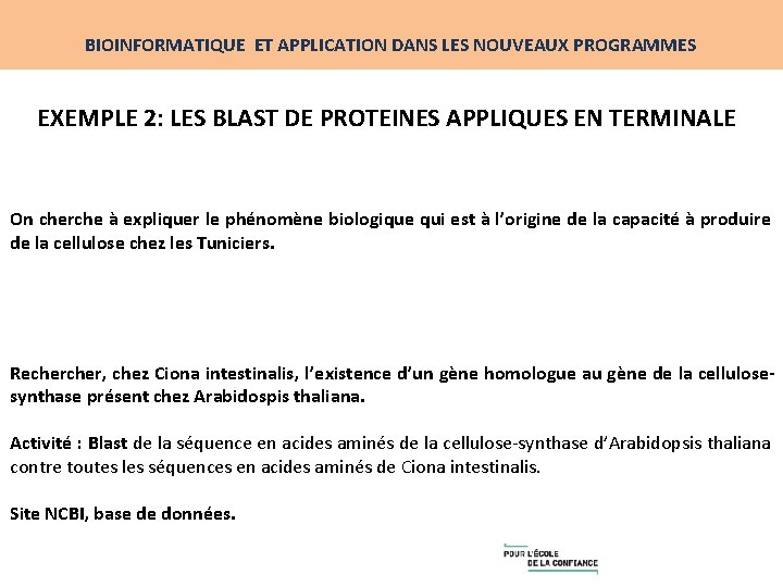 BIOINFORMATIQUE ET APPLICATION DANS LES NOUVEAUX PROGRAMMES EXEMPLE 2: LES BLAST DE PROTEINES APPLIQUES