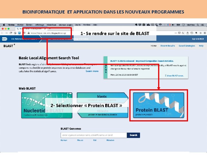 BIOINFORMATIQUE ET APPLICATION DANS LES NOUVEAUX PROGRAMMES 1 - Se rendre sur le site