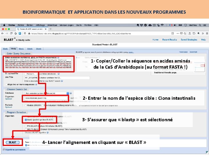 BIOINFORMATIQUE ET APPLICATION DANS LES NOUVEAUX PROGRAMMES 1 - Copier/Coller la séquence en acides