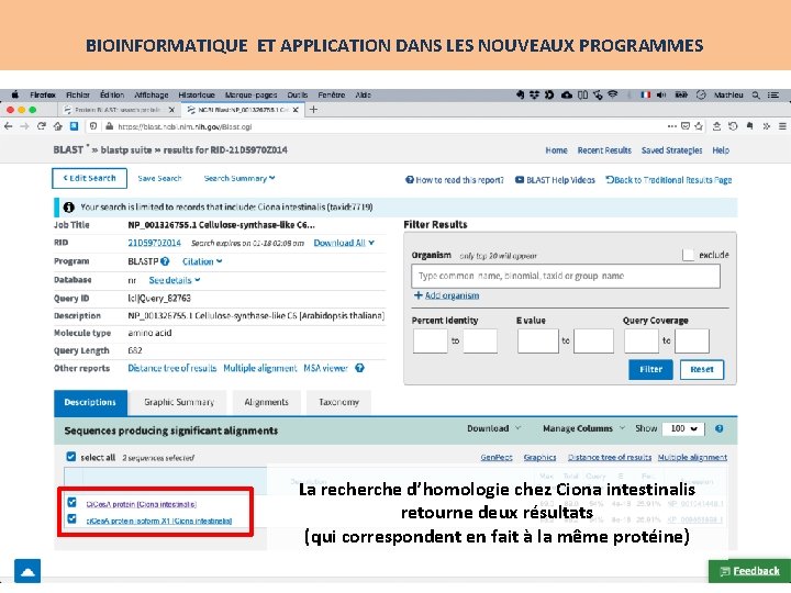 BIOINFORMATIQUE ET APPLICATION DANS LES NOUVEAUX PROGRAMMES La recherche d’homologie chez Ciona intestinalis retourne