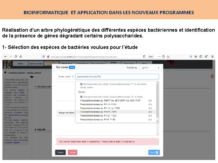 BIOINFORMATIQUE ET APPLICATION DANS LES NOUVEAUX PROGRAMMES Réalisation d’un arbre phylogénétique des différentes espèces