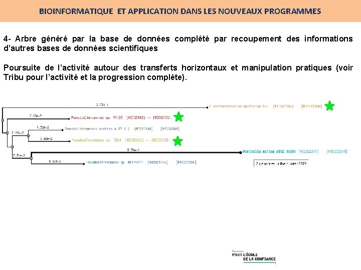 BIOINFORMATIQUE ET APPLICATION DANS LES NOUVEAUX PROGRAMMES 4 - Arbre généré par la base