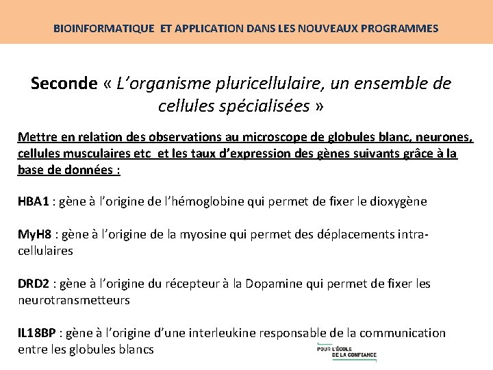 BIOINFORMATIQUE ET APPLICATION DANS LES NOUVEAUX PROGRAMMES Seconde « L’organisme pluricellulaire, un ensemble de