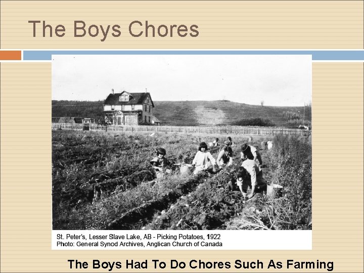 The Boys Chores The Boys Had To Do Chores Such As Farming 