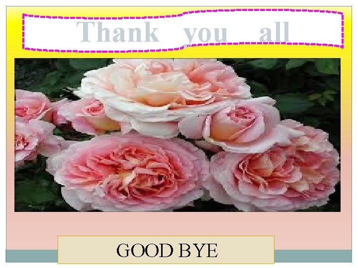 Thank you GOOD BYE all 