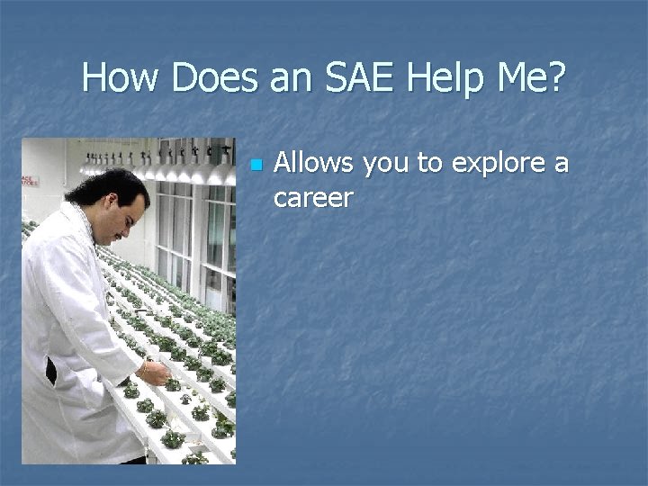 How Does an SAE Help Me? n Allows you to explore a career 