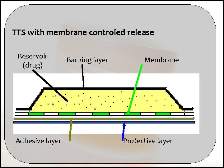 TTS with membrane controled release Reservoir (drug) Adhesive layer Backing layer Membrane Protective layer