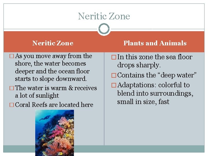 Neritic Zone � As you move away from the shore, the water becomes deeper