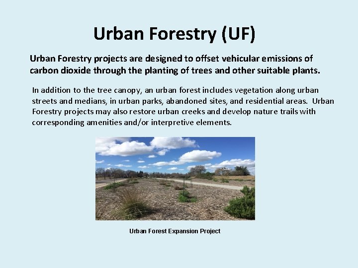 Urban Forestry (UF) Urban Forestry projects are designed to offset vehicular emissions of carbon