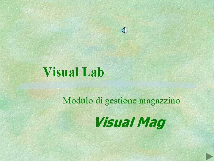 Visual Lab Modulo di gestione magazzino Visual Mag 