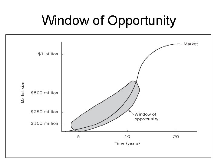 Window of Opportunity 