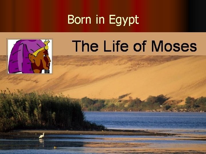 Born in Egypt 
